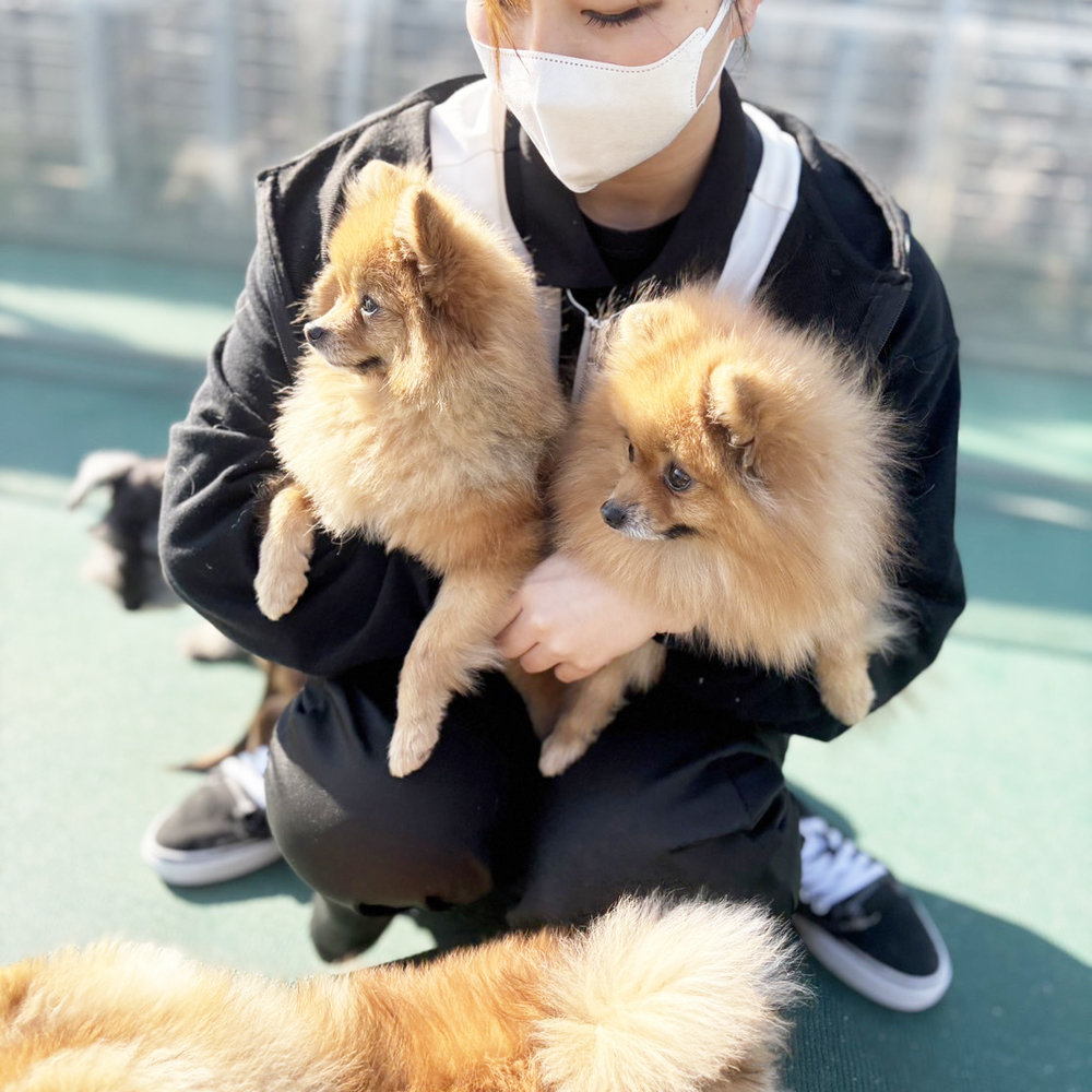 生徒が撮影したモデル犬写真②